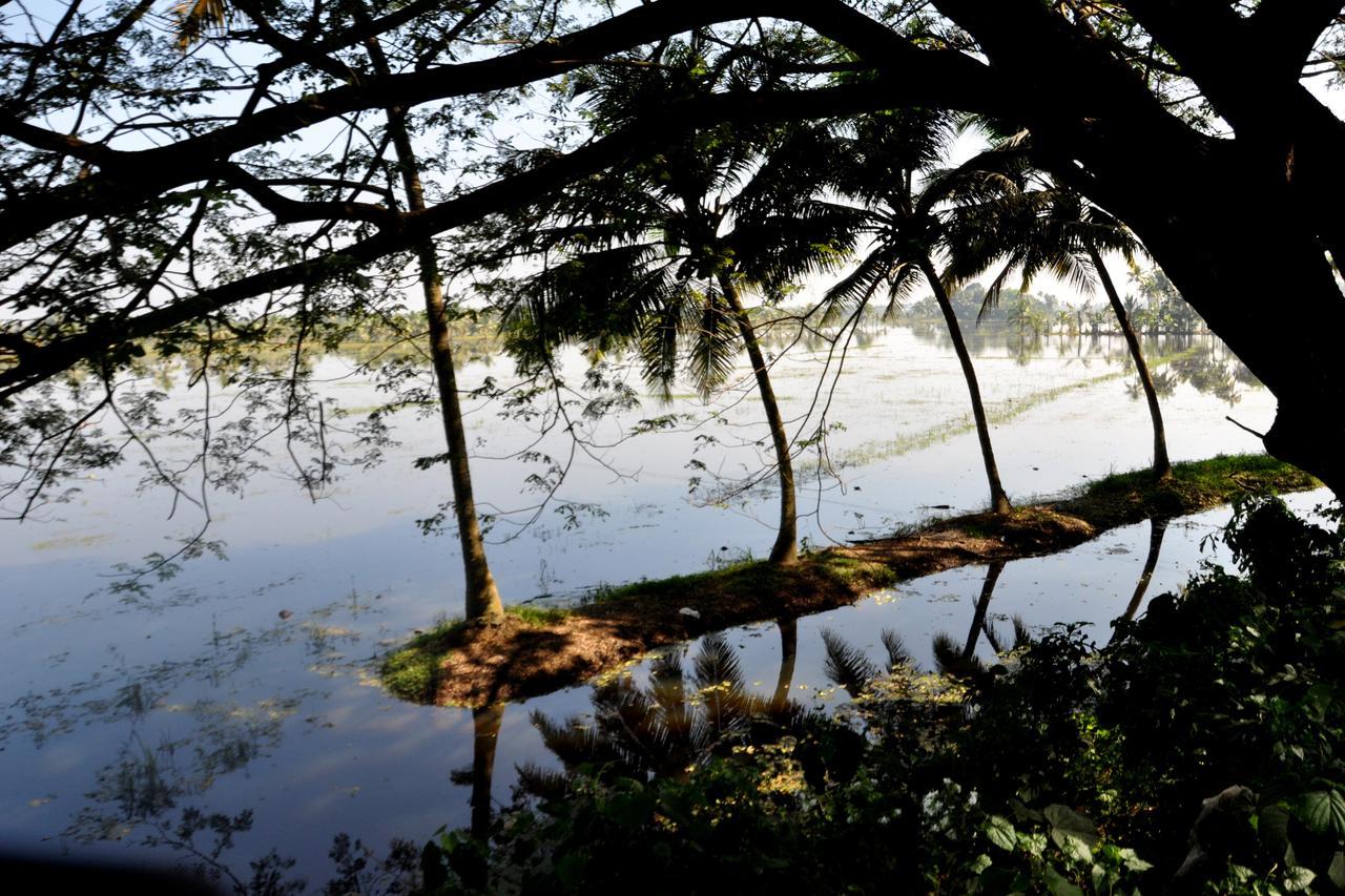 Marari Bethsaida Homestay Shertallai Exteriér fotografie