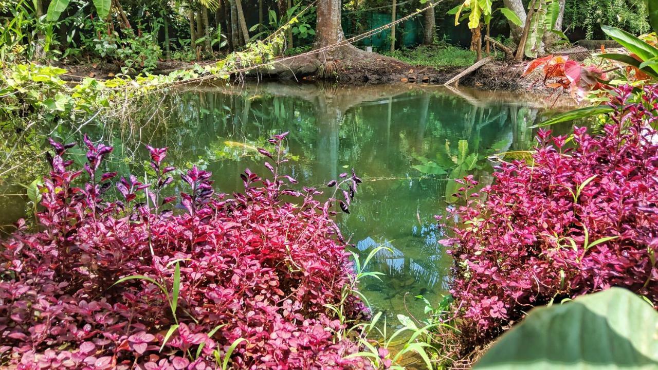 Marari Bethsaida Homestay Shertallai Exteriér fotografie