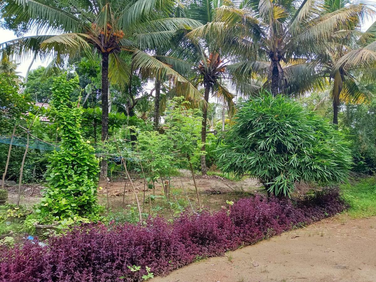 Marari Bethsaida Homestay Shertallai Exteriér fotografie