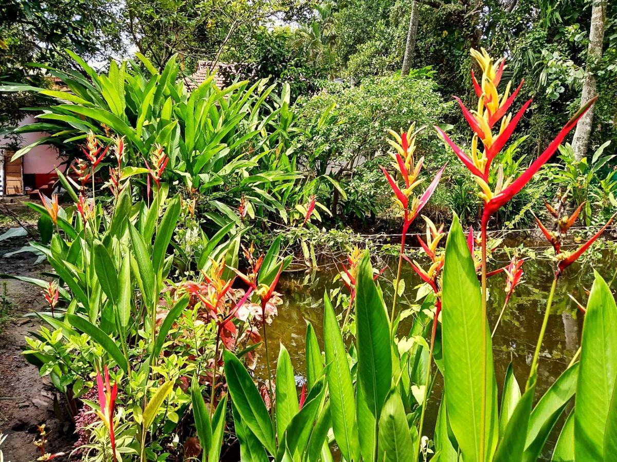 Marari Bethsaida Homestay Shertallai Exteriér fotografie