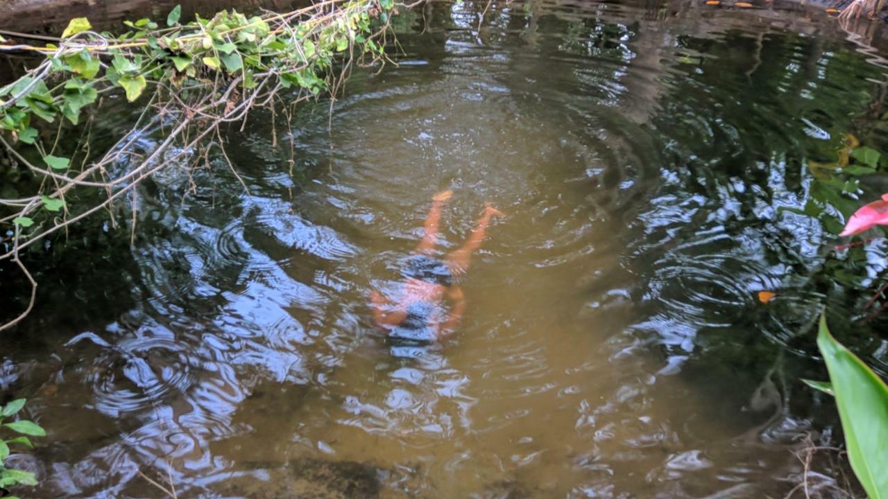Marari Bethsaida Homestay Shertallai Exteriér fotografie